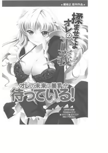 Page 301 of Kyonyuu Fantasy Gaiden 2 Gekan - preview thumbnail