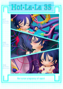 Page 2 of Hoi-La-La 3S - preview thumbnail