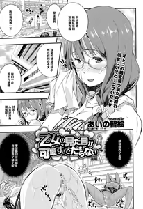 Otome no Mitame ga Kawai Sugite Tamaranai Kouhen — hentai manga cover on Fhentai