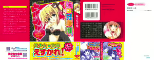 Page 3 of Imouto wa Ani Senyou - preview thumbnail