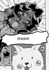 Page 40 of Innyuu Ranbu - preview thumbnail