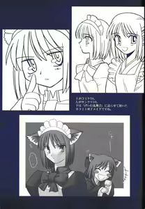 Page 36 of Tsukihime Dokuhon - preview thumbnail