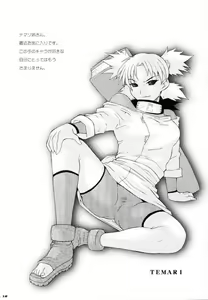 Page 18 of Q.N.T - preview thumbnail