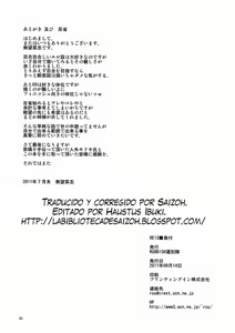 Page 29 of RE 13 - preview thumbnail