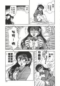 Page 33 of SHAMPOO - preview thumbnail