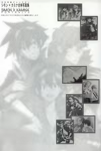 Page 2 of SimoKami Gattai Shashinshuu - preview thumbnail
