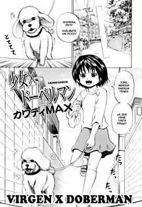 Shoujo x Doberman | Virgen X Doberman — hentai manga cover on Fhentai