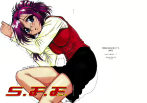 S.F.F vol. 2 — hentai manga cover on Fhentai
