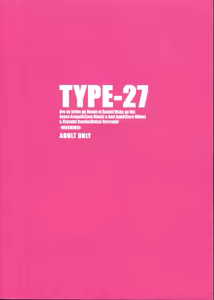 Page 22 of TYPE-27 - preview thumbnail