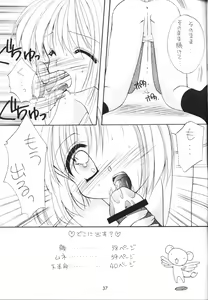 Page 36 of S-package - preview thumbnail