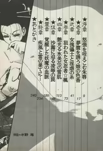 Page 7 of Onna Ninja Himitsu Inpouchou - preview thumbnail