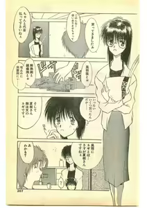 Page 207 of COMIC Papipo Gaiden 1995-05 - preview thumbnail