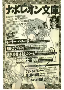 Page 223 of COMIC Papipo Gaiden 1995-05 - preview thumbnail