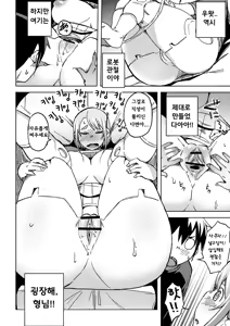 Page 14 of PAI-M4X Sakura - preview thumbnail