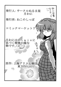 Page 46 of Hakuro Douchuu - preview thumbnail