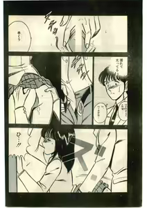 Page 212 of COMIC Papipo Gaiden 1995-01 - preview thumbnail