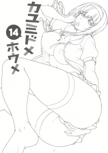 Page 3 of Kayumidome 14 Houme | 카유미도메14호우메 - preview thumbnail