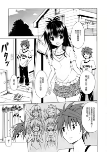 Page 4 of Trans H - preview thumbnail