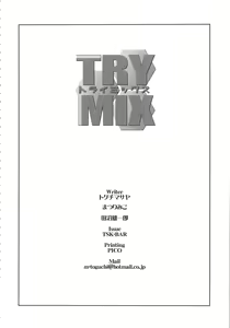 Page 4 of TRYMIX - preview thumbnail