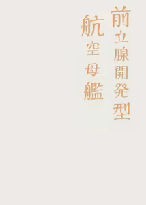 Page 23 of Zenritsusen Kaihatsu-gata Koukuu Bokan - preview thumbnail
