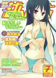 Manga Bangaichi 2011-07 - hentai manga cover image