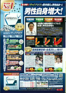 Page 251 of Action Pizazz DX 2015-08 - preview thumbnail