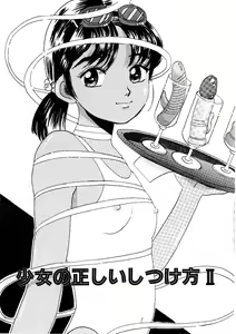 Page 21 of Shoujo no Tadashii Shitsukekata Vol.1 - preview thumbnail