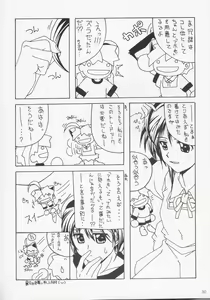 Page 29 of RED BRAVO - preview thumbnail