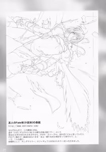 Page 32 of RED BRAVO - preview thumbnail