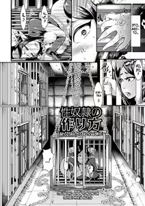 Seidorei no Tsukurikata | How to Make a Sex Slave — hentai manga cover on Fhentai