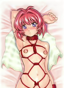 Page 195 of Yasuomi-Craft CG Collection Vol. 2 - preview thumbnail