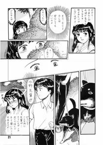 Page 20 of Natsu no Yoru wa Mitabi Hohoemu - preview thumbnail