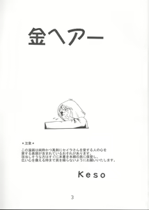Page 2 of Kin Hair kaitei ban | Blonde - preview thumbnail