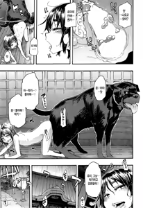 Page 151 of Junai-Irregulars - preview thumbnail