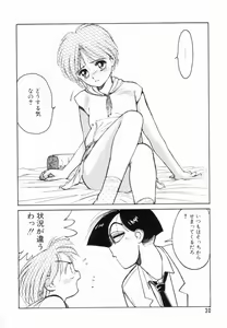 Page 31 of Encyclopedia of Tetsuyaro Shinkaida - preview thumbnail