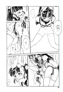 Page 97 of Encyclopedia of Tetsuyaro Shinkaida - preview thumbnail