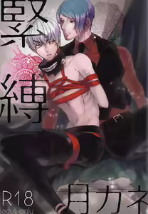 Kinbaku TsukiKane - hentai manga cover image