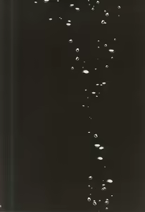 Page 21 of birth - preview thumbnail