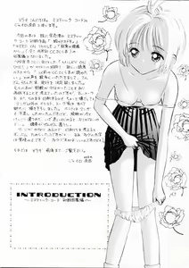 Page 3 of INTRODUCTION - preview thumbnail