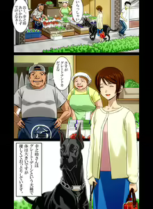 Page 12 of "Wonderful Life" ~Shufu to "Aiken" no Hisoyaka na Gogo~ - preview thumbnail