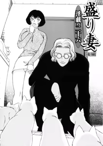 Page 27 of Hitozuma Moyou 4 Yogarizuma - preview thumbnail