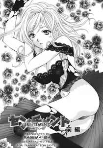 Sentiment 1 and 2 — hentai manga cover on Fhentai