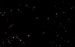 Page 1689 of Maggot Baits - preview thumbnail