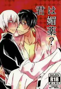 Kimi wa Biyaku? - hentai manga cover image