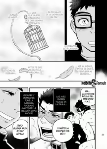 Page 24 of cage - preview thumbnail