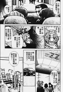 Page 56 of Wild Cats | 性感小野貓 - preview thumbnail