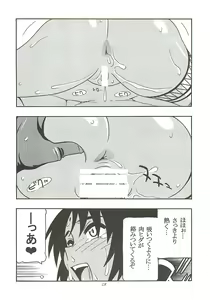 Page 17 of CELVARG2 - preview thumbnail