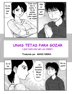 UNAS TETAS PARA GOZAR - hentai manga cover image