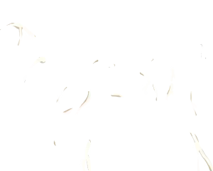 Page 1428 of Prisoner no Ningyoutsukai - preview thumbnail