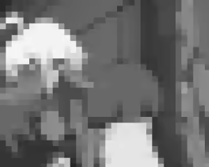 Page 1927 of Prisoner no Ningyoutsukai - preview thumbnail
